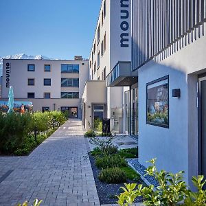 Apartament z 1 sypialnią